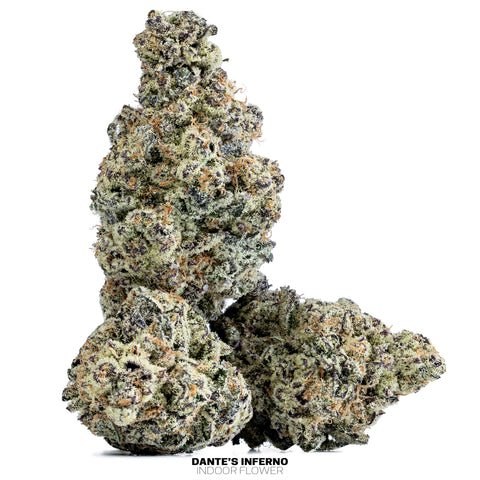 Indoor Hemp Flowers (THCa)