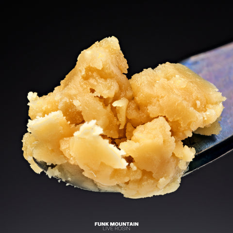 Live Rosin (Solventless)