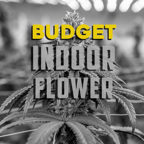Indoor Hemp Flowers (THCa) (BUDGET)