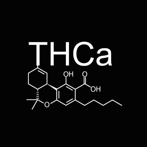 Shop THCa