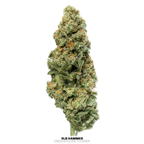 Greenhouse Hemp Flowers (THCa)