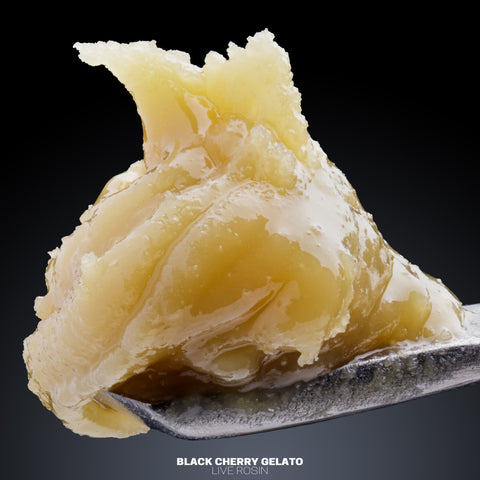 Colophane vivante (sans solvant)