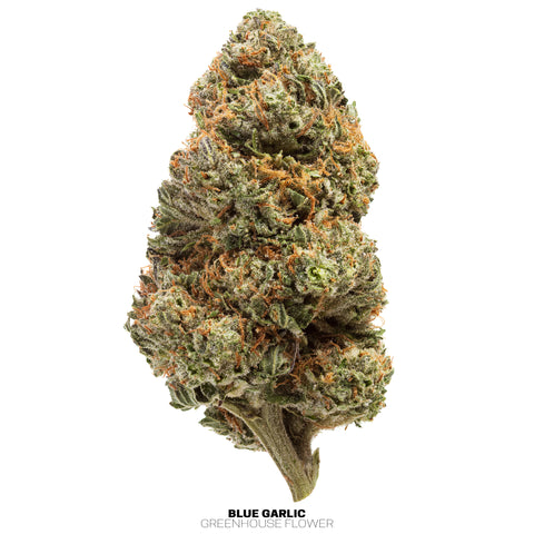 Greenhouse Hemp Flowers (THCa)