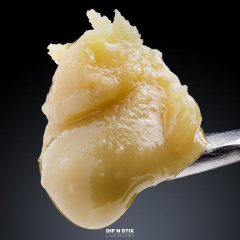 Colophane vivante (sans solvant)