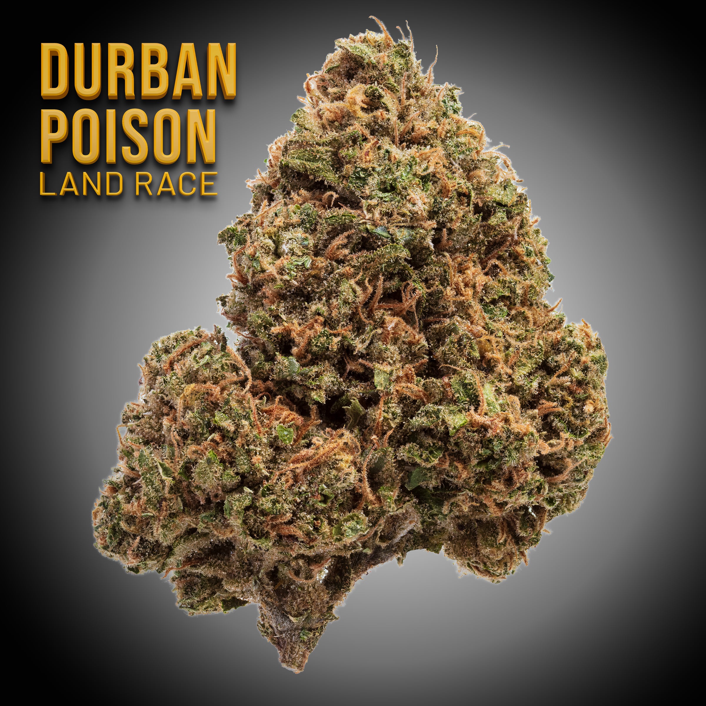 ほぼ新品 Kapital フラワーウエストポーチ WEED 420 Mission Worcester (Medical)