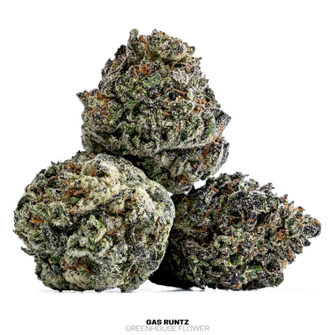 Wild 99s - Budget Ounces