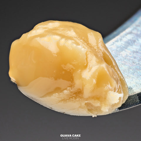 Live Rosin (Solventless)