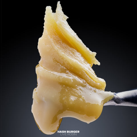 Colophane vivante (sans solvant)