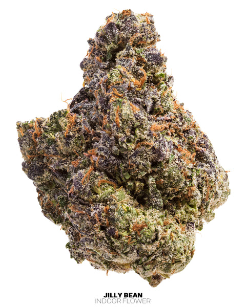 Fleurs de chanvre d'intérieur (THCa)