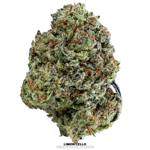 Wild 99s - Budget Ounces