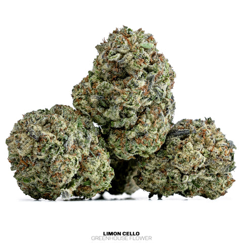 Wild 99s - Budget Ounces