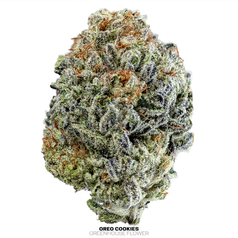 Wild 99s - Budget Ounces