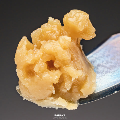 Live Rosin (Solventless)