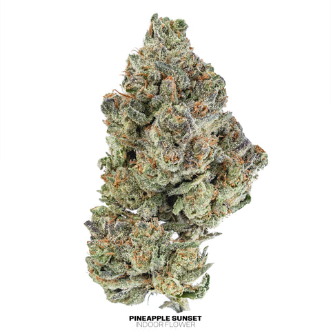 Fleurs de chanvre d'intérieur (THCa)