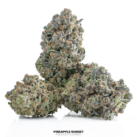 Fleurs de chanvre d'intérieur (THCa)