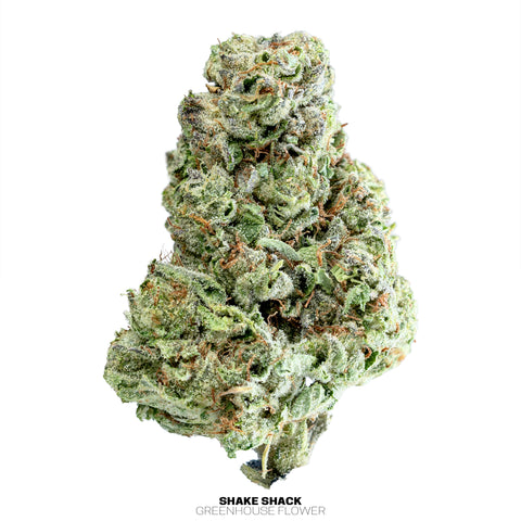 Fleurs de chanvre de serre (THCa)