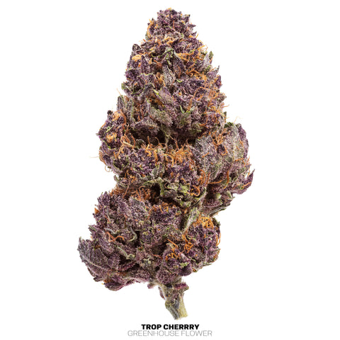 Greenhouse Hemp Flowers (THCa)