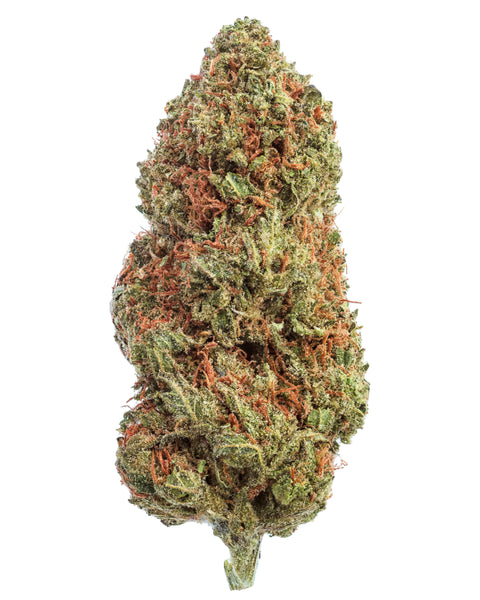 Wild 99s - Budget Ounces