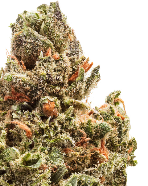 Indoor Hemp Flowers | THCa