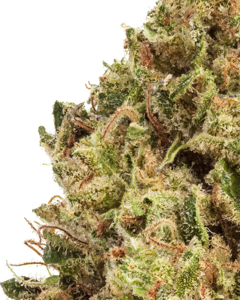 Wild 99s - Budget Ounces