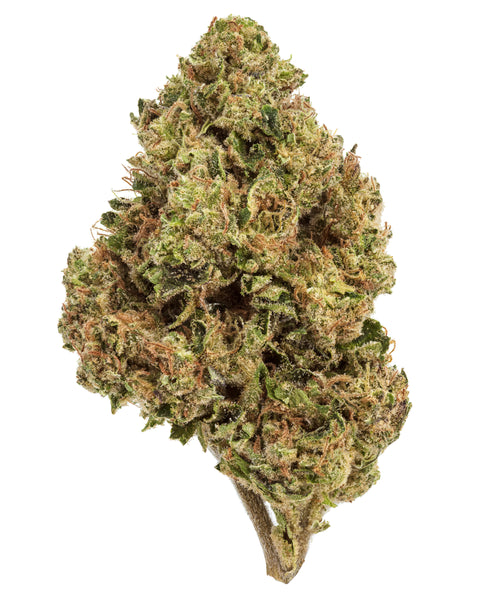 Wild 99s - Budget Ounces