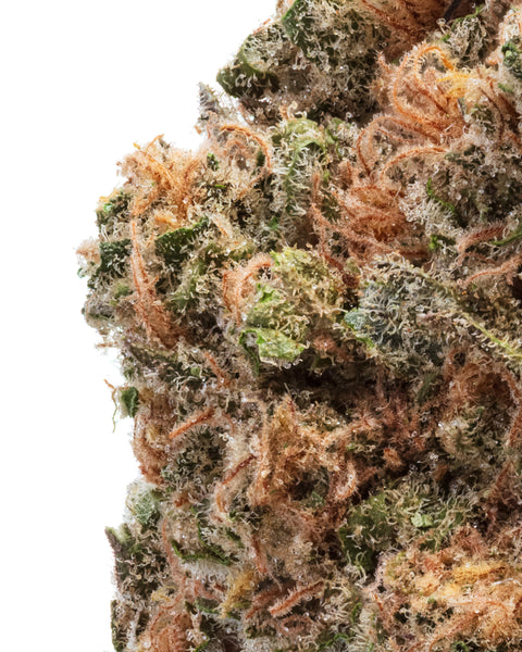 Indoor Hemp Flowers | THCa