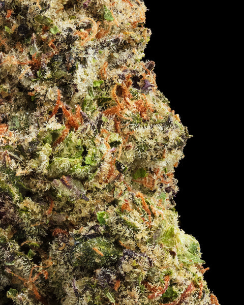 Wild Reserve Flower | THCa