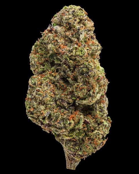 Wild Reserve Flower | THCa