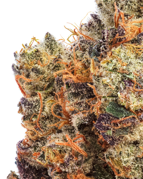 Indoor Hemp Flowers | THCa