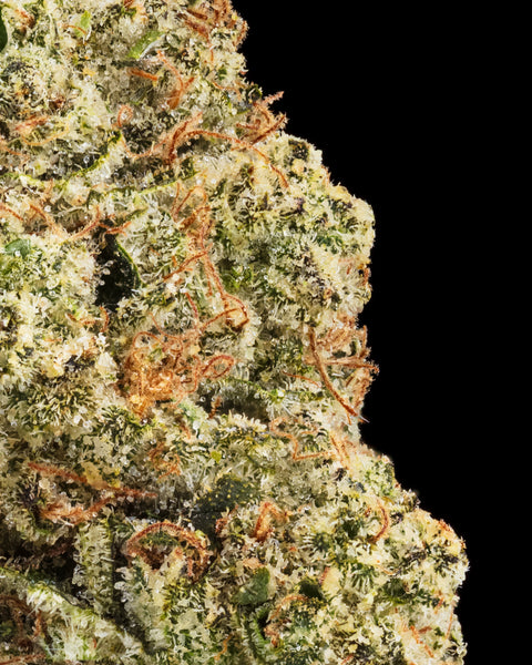 Wild Reserve Flower | THCa