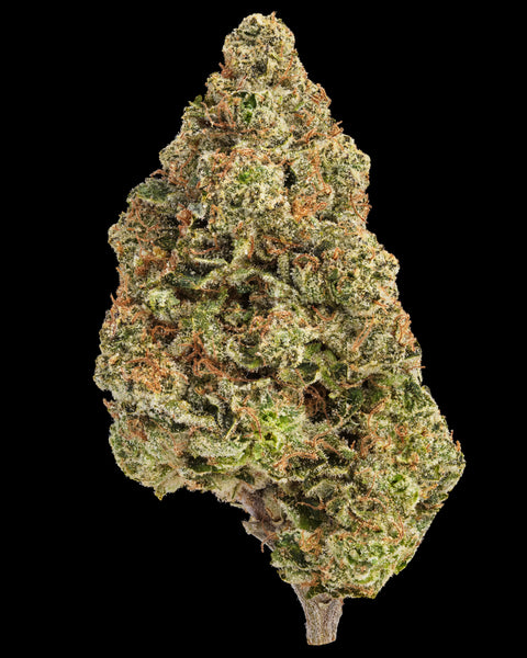 Wild Reserve Flower | THCa