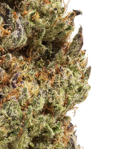 Fleurs de chanvre de serre (THCa)