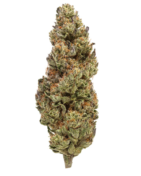 Fleurs de chanvre de serre (THCa)