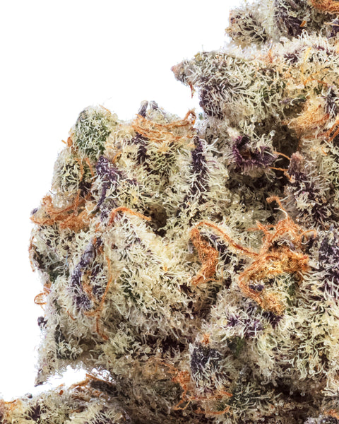 Indoor Hemp Flowers | THCa