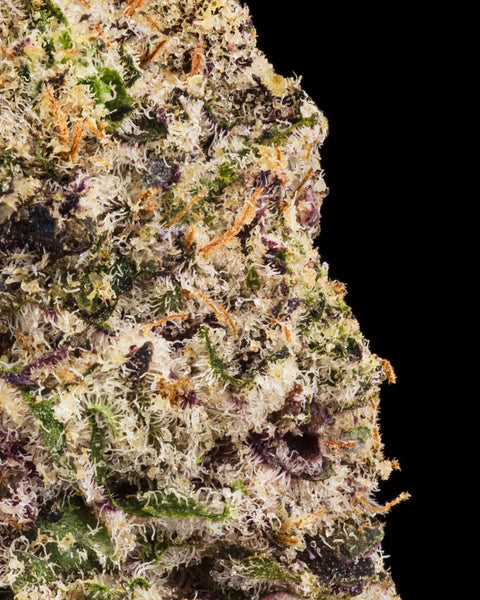 Wild Reserve Flower | THCa