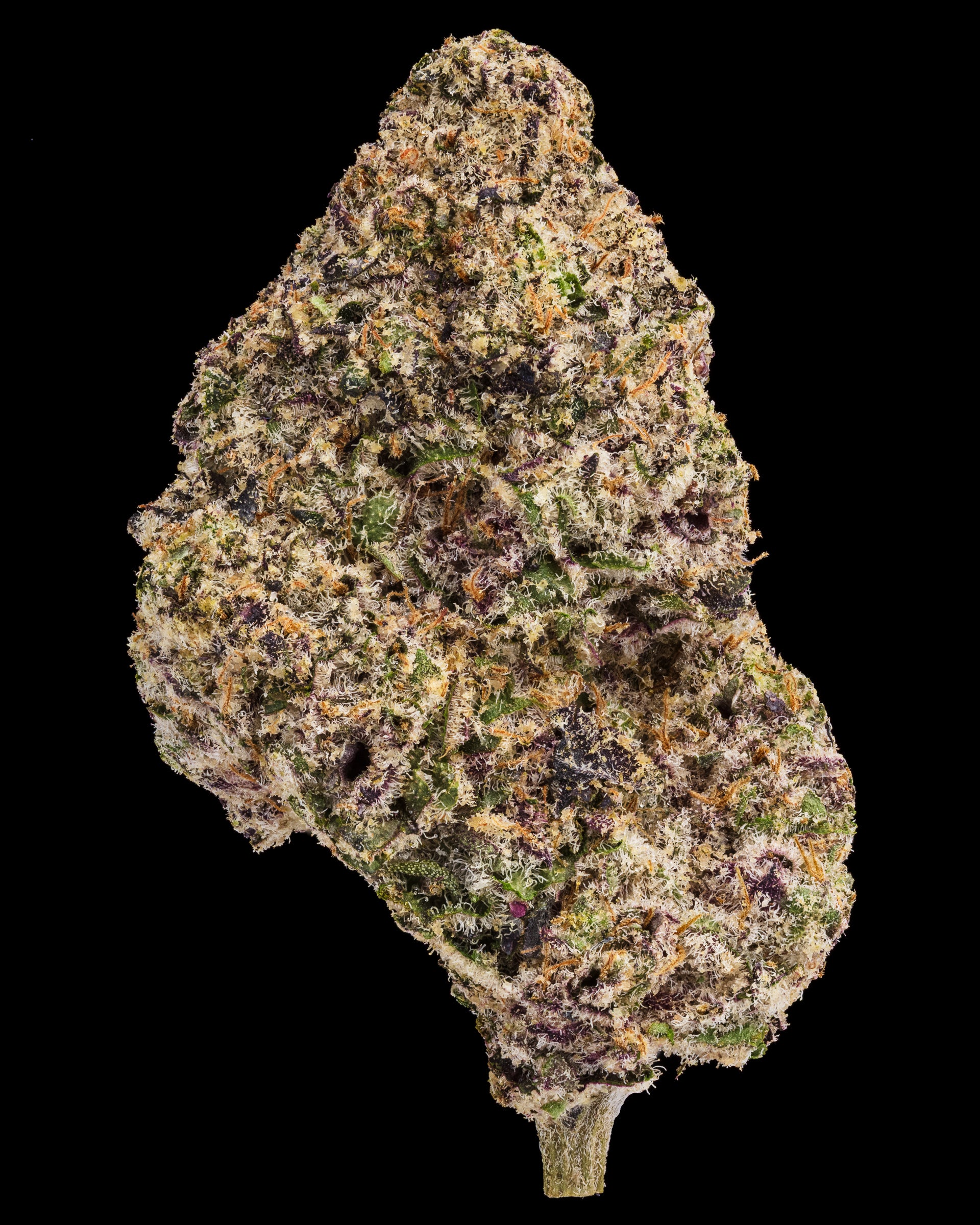 Wild Reserve Flowers THCa | Wildflower Hemp Co | Premium THC a