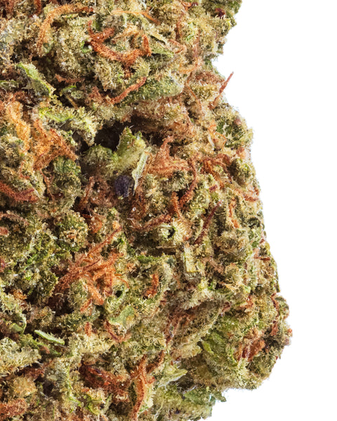 Fleurs de chanvre de serre (THCa)