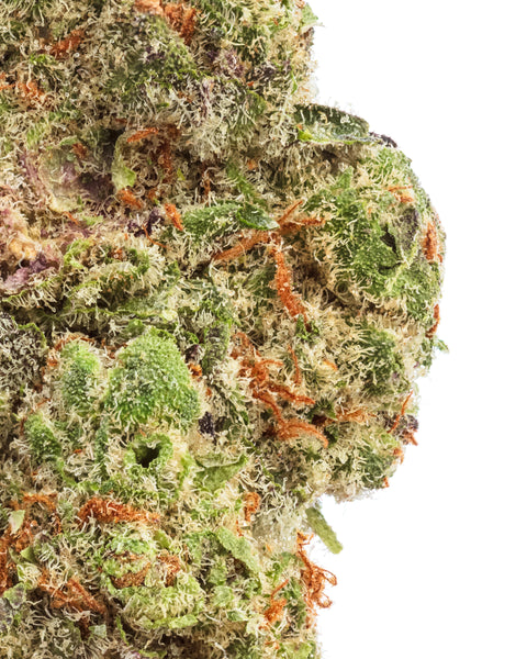 Indoor Hemp Flowers | THCa