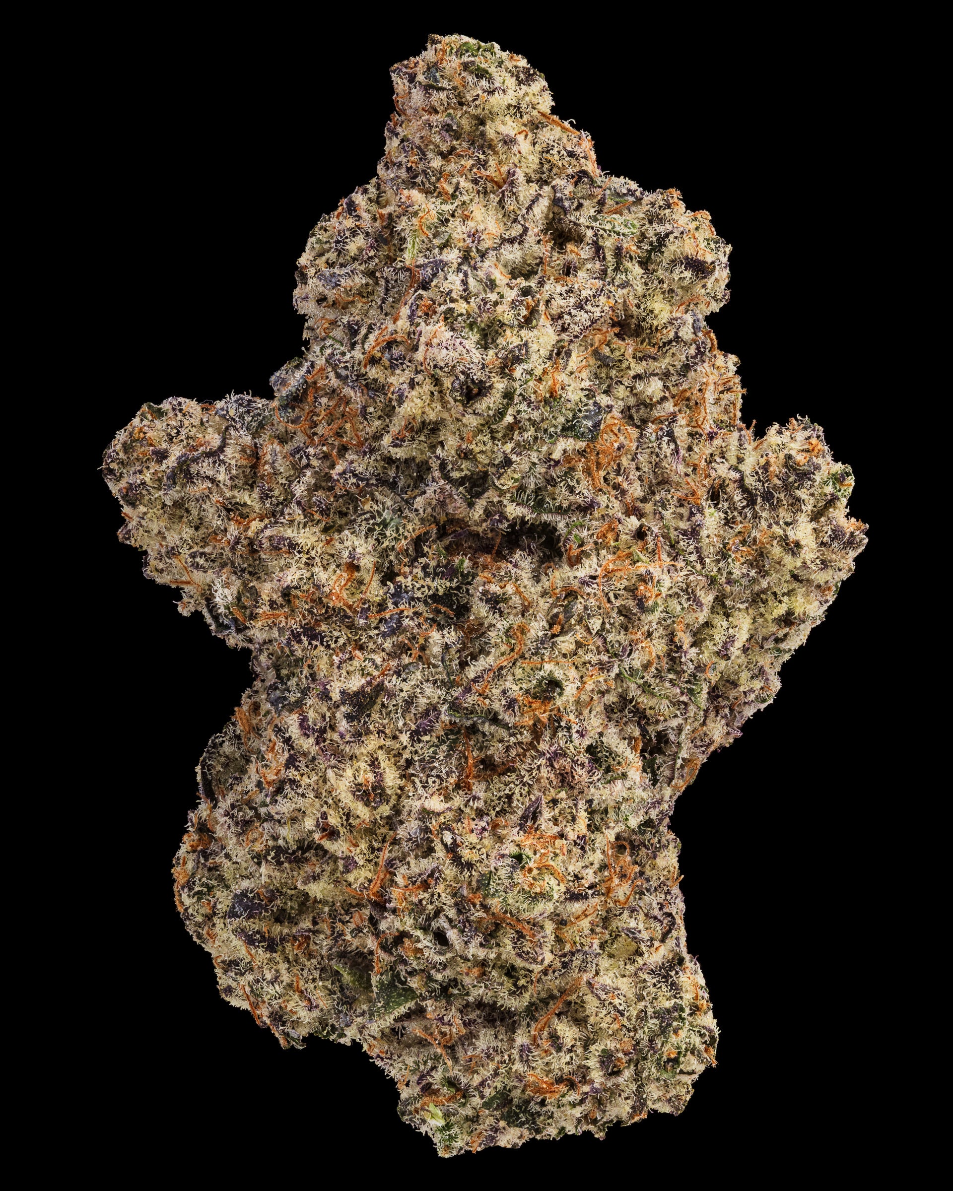 ほぼ新品 Kapital フラワーウエストポーチ WEED 420 THCa BC Roadkill Flower – Skunky Citrus Calm | WNC CBD