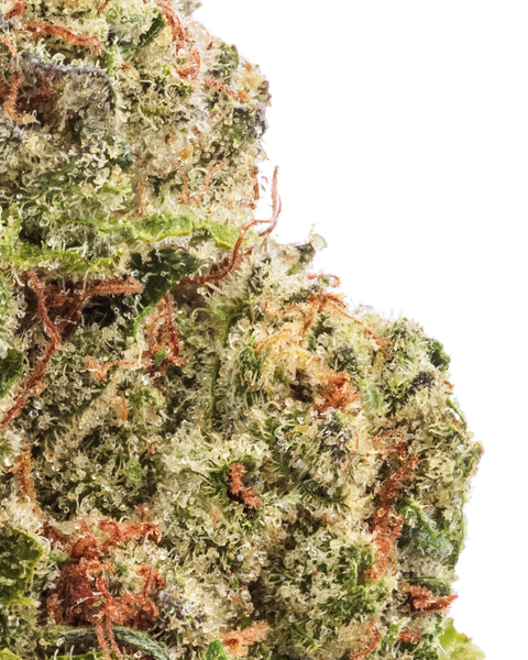 Greenhouse Hemp Flowers | THCa