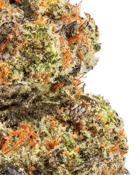 Indoor Hemp Flowers | THCa