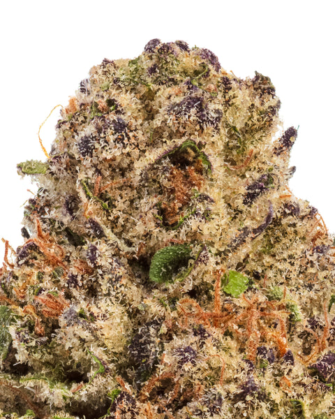 Wild 99s - Budget Ounces