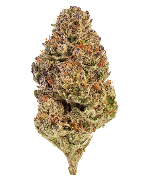 Wild 99s - Budget Ounces