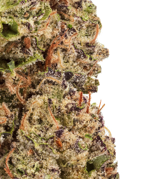 Wild 99s - Budget Ounces