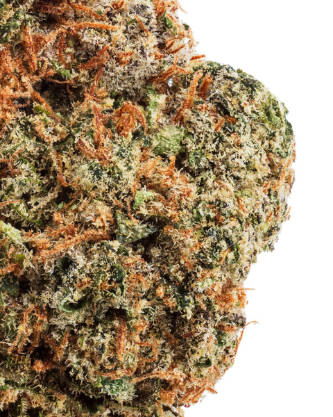Indoor Hemp Flowers | THCa