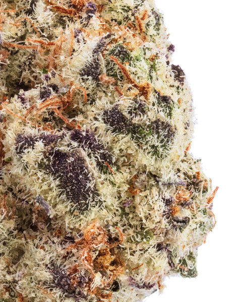 Indoor Hemp Flowers | THCa