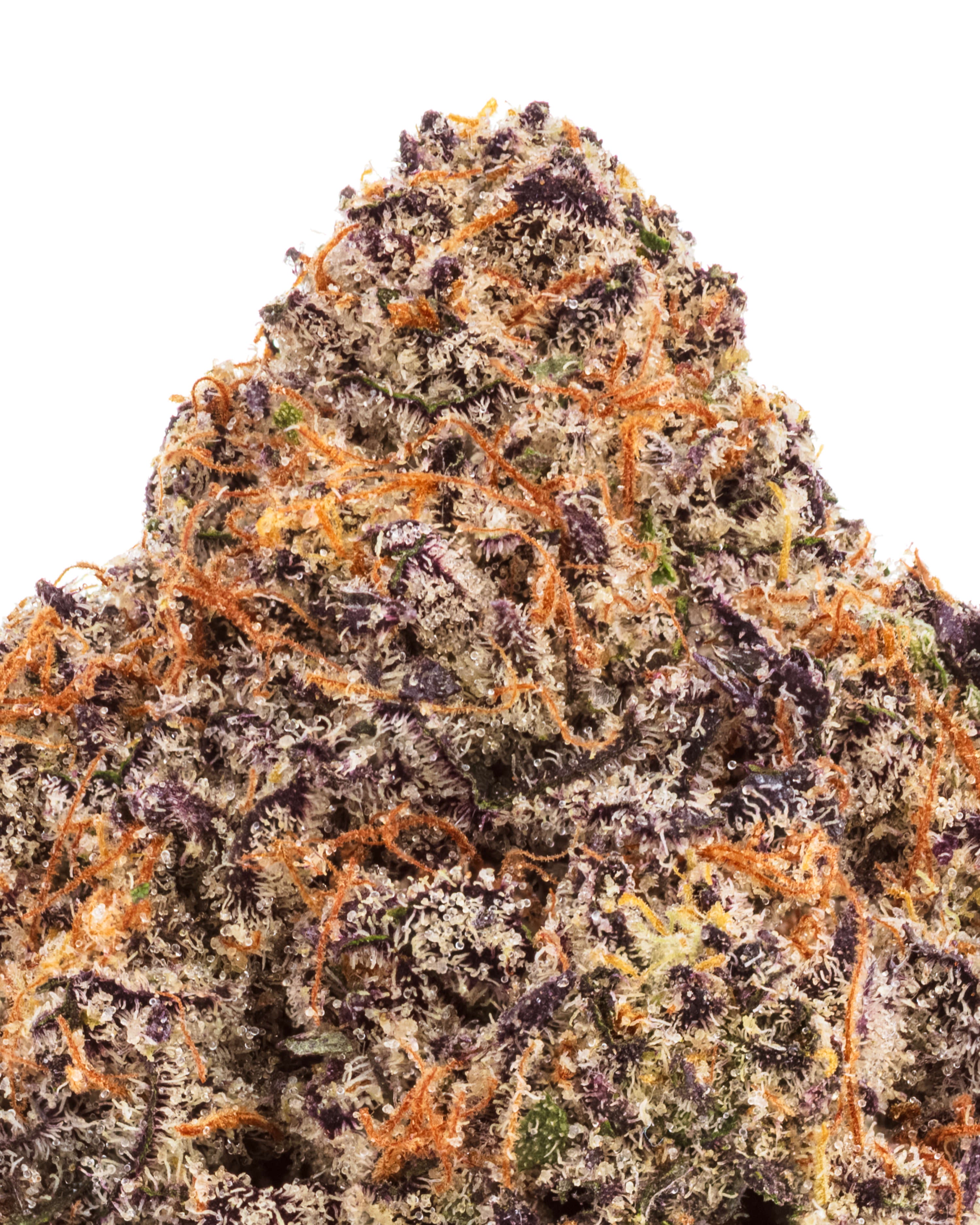 ほぼ新品 Kapital フラワーウエストポーチ WEED 420 THCa BC Roadkill Flower – Skunky Citrus Calm | WNC CBD
