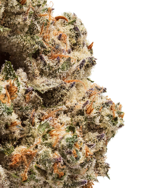 Indoor Hemp Flowers | THCa