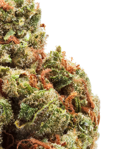 Greenhouse Hemp Flowers | THCa