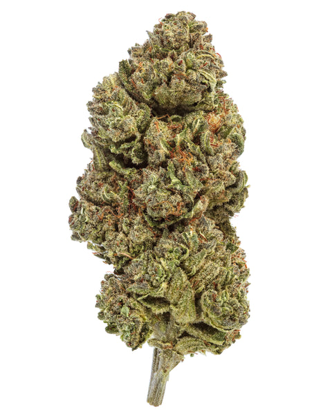 Wild 99s - Budget Ounces